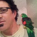 Paul Antico, Compassionate Inquiry Facilitator, Healer